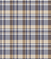 EGBERT PLAID