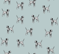 DALMATIAN DOGS-photos