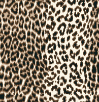 LEATHER LEOPARD
