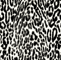 LUNAR LEOPARD