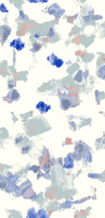 FEATHER PRINT-photos