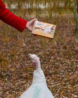 Woodstock Animal Sanctuary